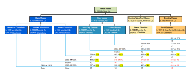 Blogs - Progeny Genealogy Inc.